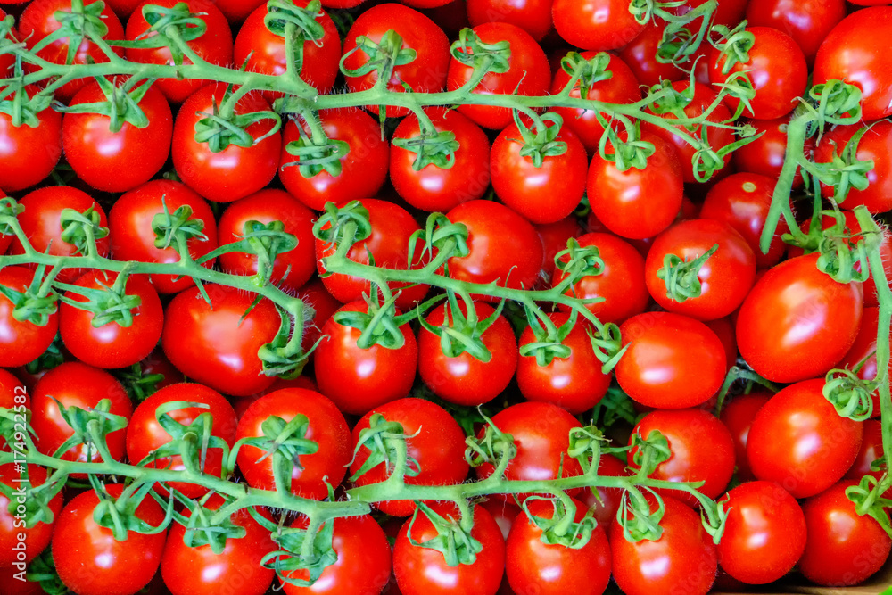 Group of fresh tomatoes