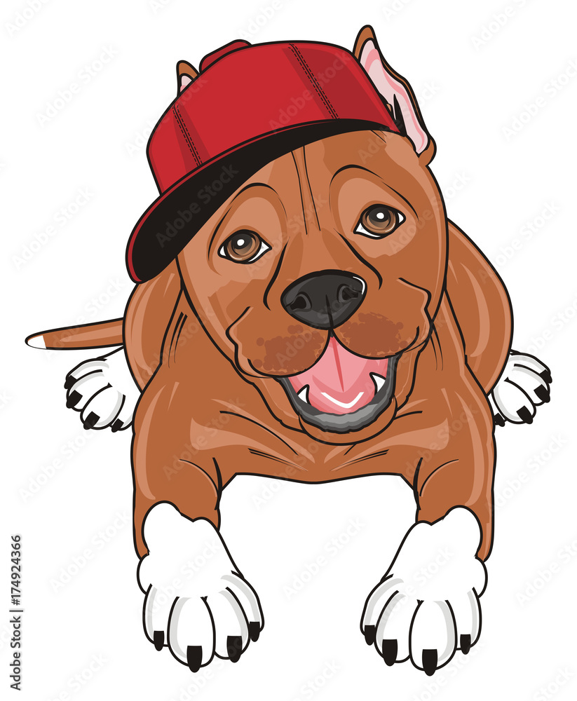 Pitbull cartoon outlet