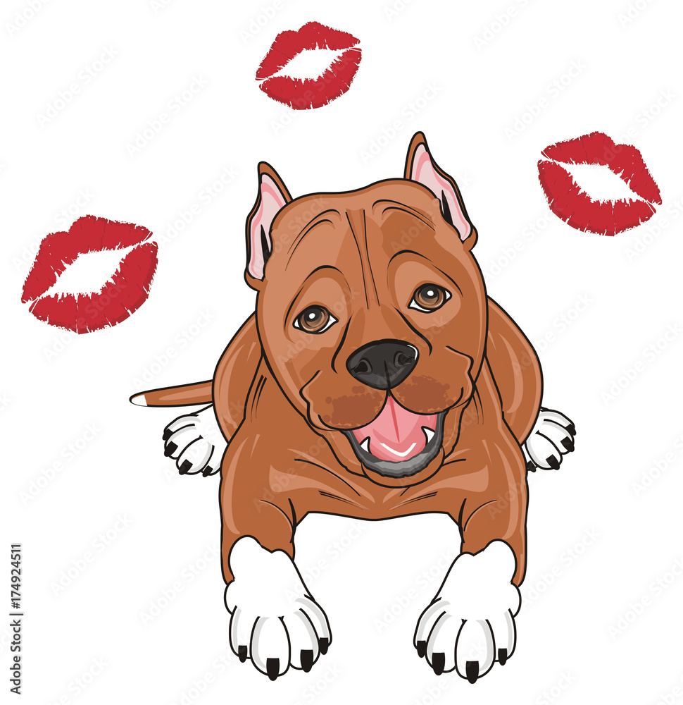pitbull, pit bull, amstaff, staffie, friend, staff, American, dog, pet, cartoon, brown, fight, lying, many, in love, kiss Stock Illustration |  Adobe Stock
