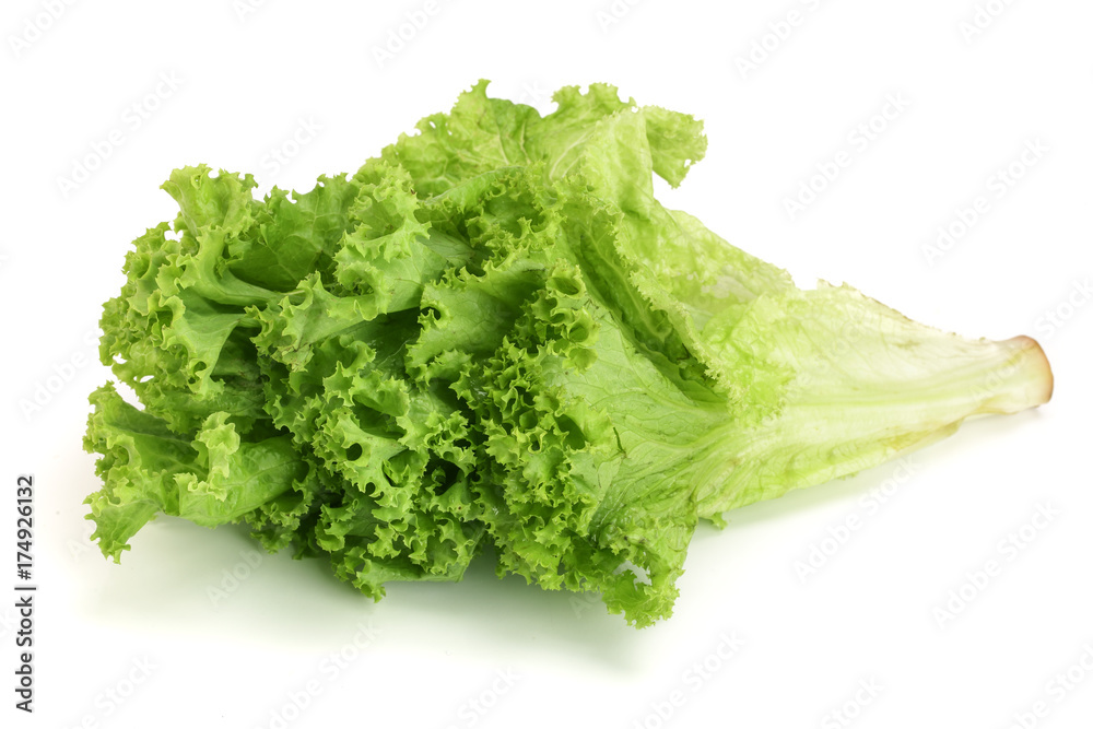 Fresh lettuce isolated on white background. Salad leaf Fresh lettuce isolated on white background. Salad leaf