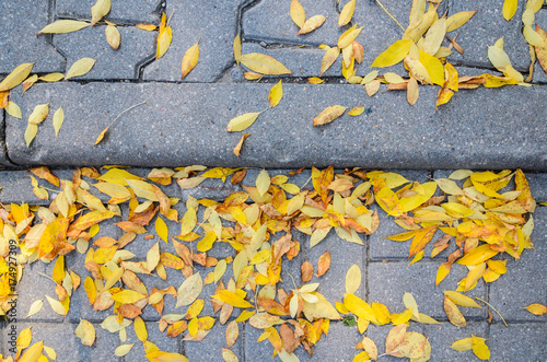 Yellow Fallen Autumn Leaves on the on the Sidewalk Paved with Gray Concrete Paving Stones Top View. Autumn Approach, Season Change Concept