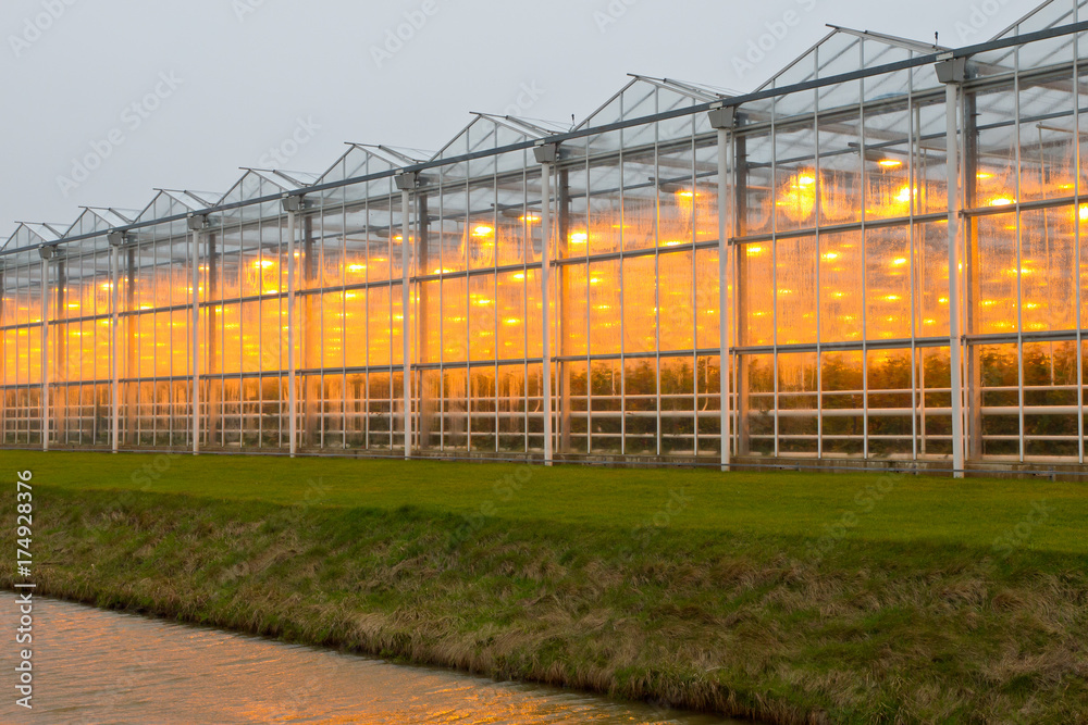 Obraz premium commercial greenhouse