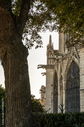 Detail view of the buttresses, pinnacles and gargoyles of the chancel of Notre-Dame de Paris cathedral at sunset. photo