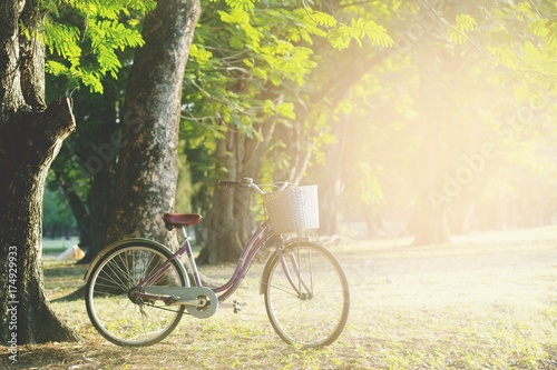 Old bike in the park with sunrise. © methaphum