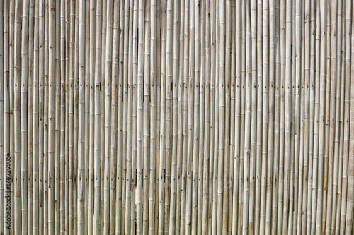Old Bamboo wall background.