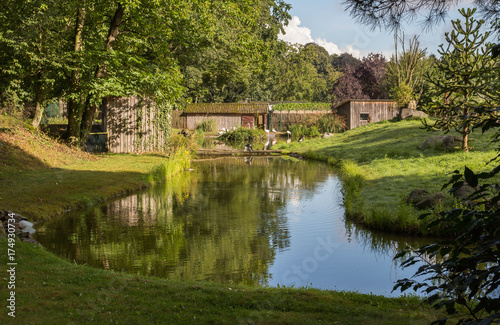 Rivière et herbe