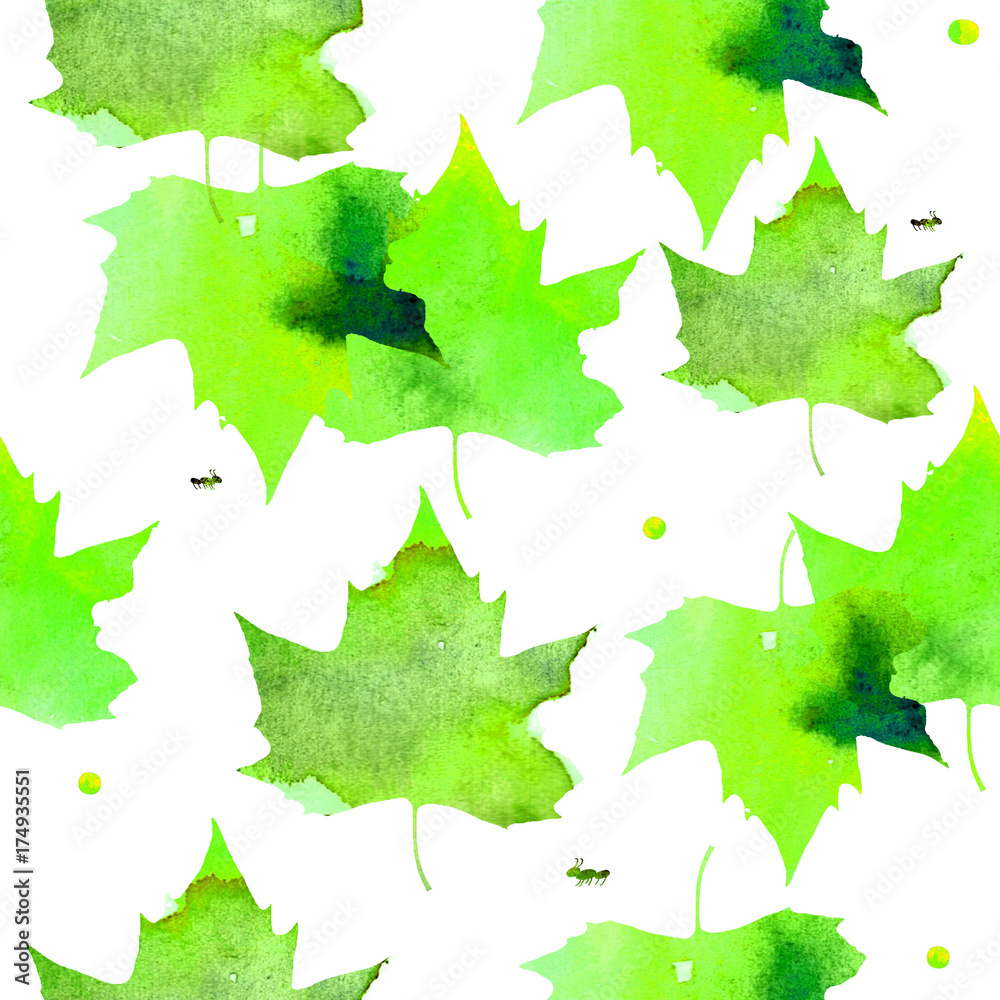 Watercolor illustration. Pattern of transparent warm green maple leaves Watercolor illustration. Pattern of transparent warm green maple leaves