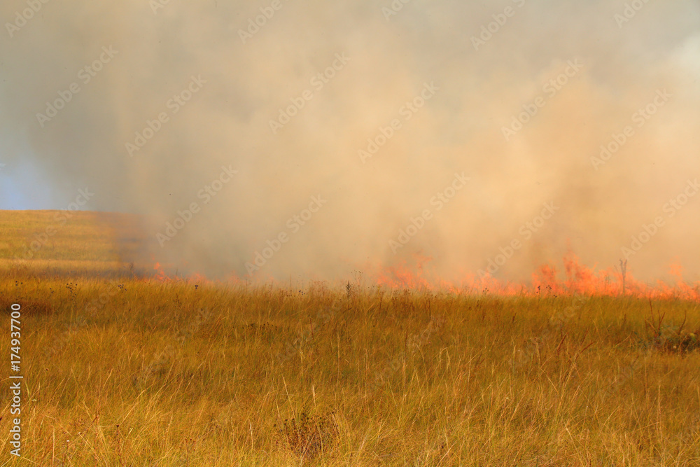 Disastrous steppe fire