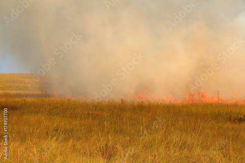 Disastrous steppe fire © argot