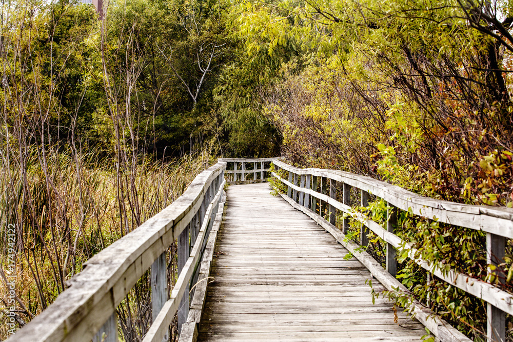 Long Bridge of Lochness Park Minnesota