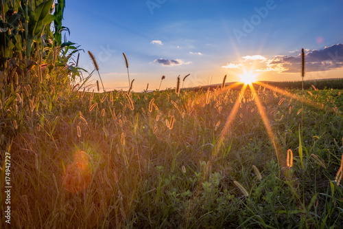 Central Pennsylvania August Sunset