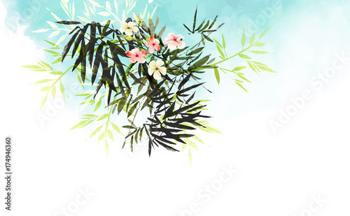 Hand drawn watercolor tropical plants