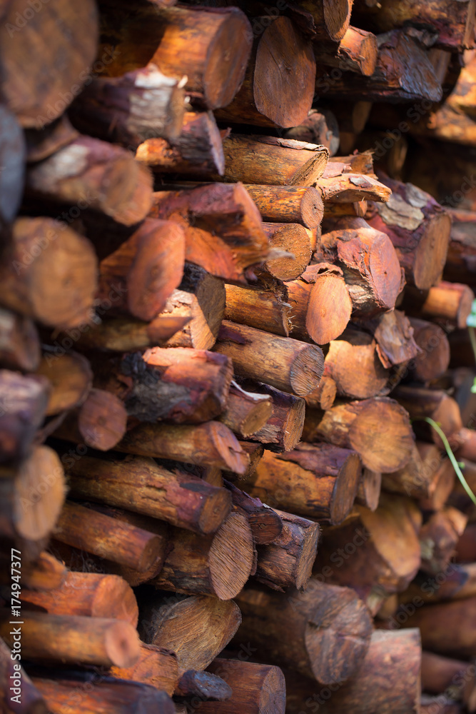 Firewood stacked and prepared for winter Pile of wood logs