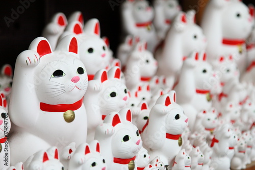 Tons of small dolls 