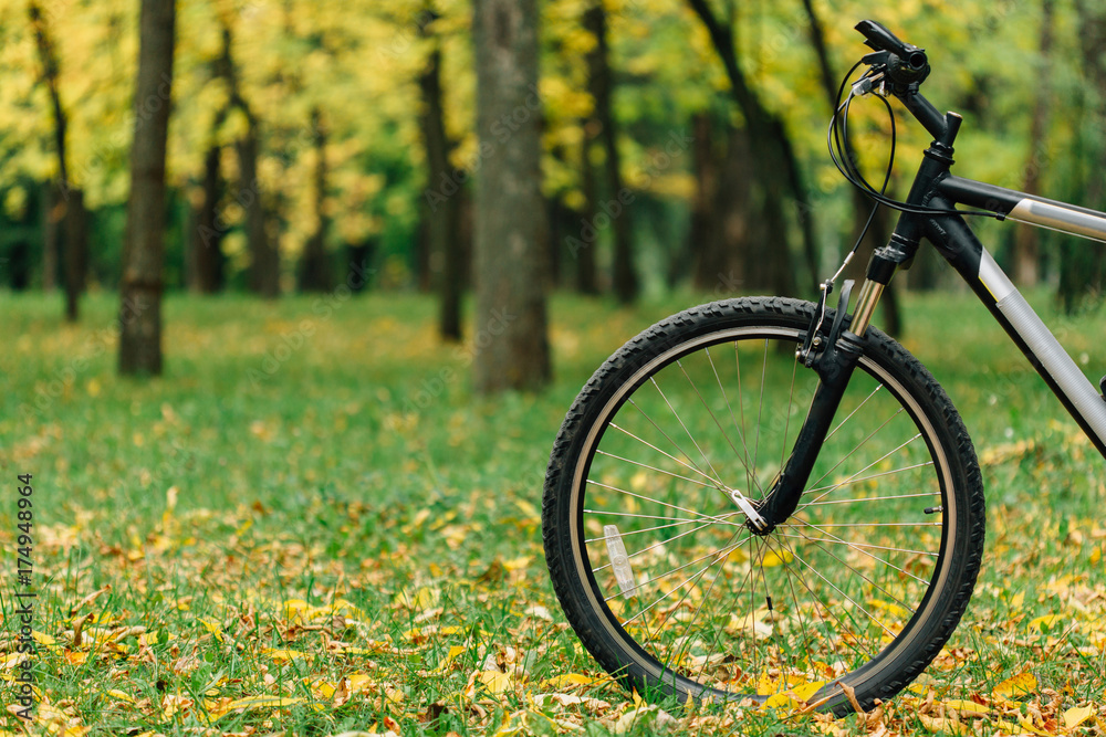 Fototapeta premium Bicycle in colorful autumn park. Fall season background
