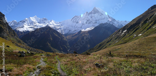 Way to Annapurna Base camp  mountain meadows and snow capped Himalayas  Mount Machapuchare  Fishtail mountain