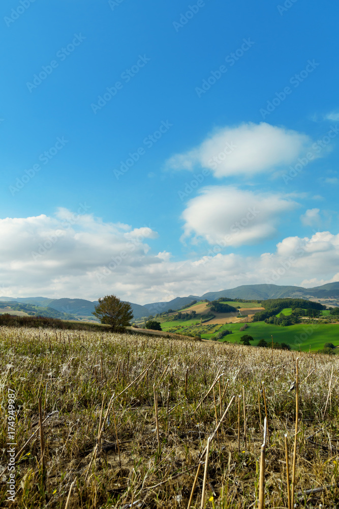 Landscape on a day of september, cultivated fields and blue sky with clouds