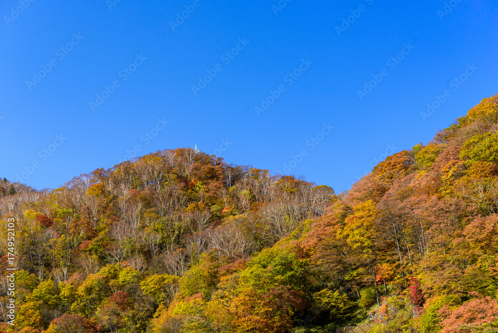 Colorful mountain in Nikko, Japan during autumn season