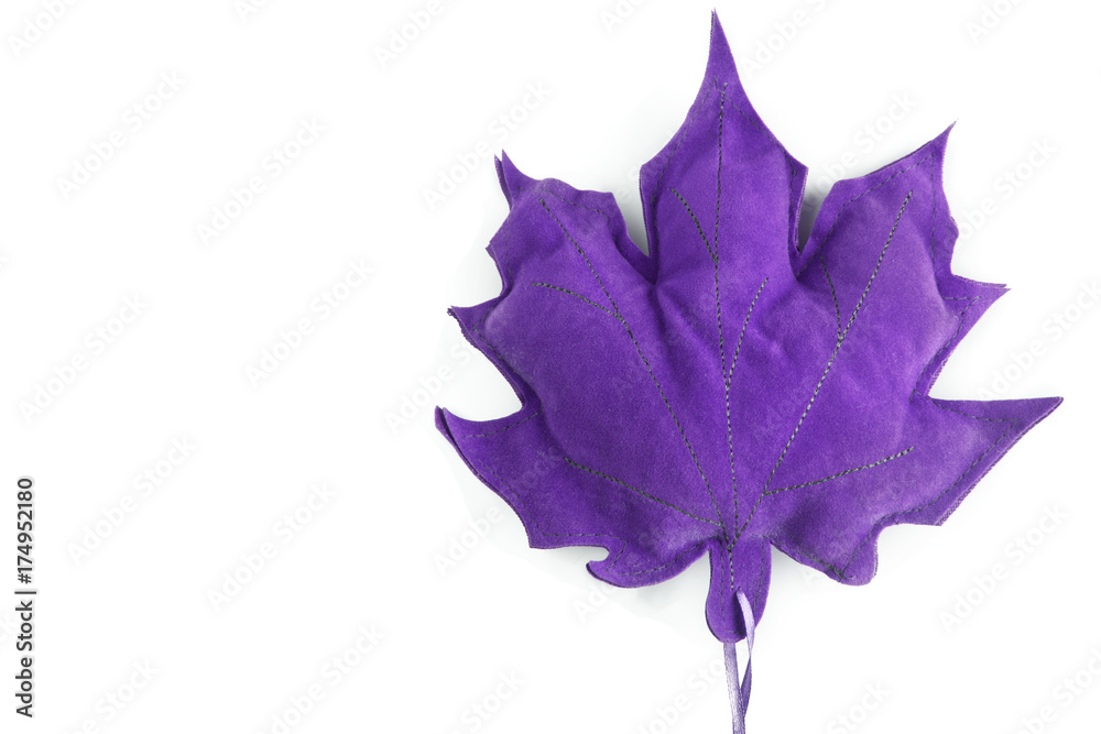 Naklejka premium Leaf isolated on white background with copy space for your design