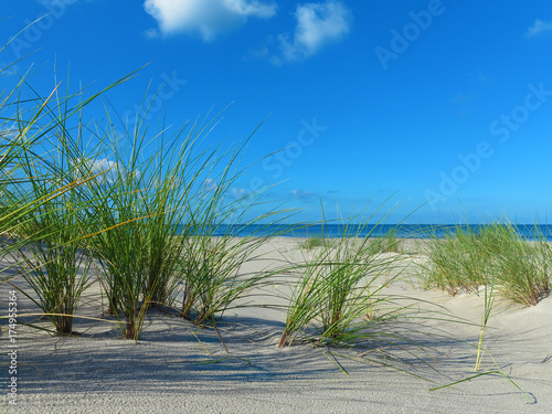 Fototapeta Naklejka Na Ścianę i Meble -  einsamer leerer strand mit Strandhafer und meer
