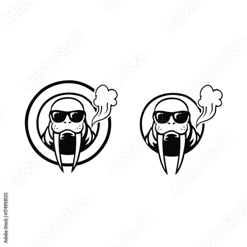 walrus-sunglass-logo