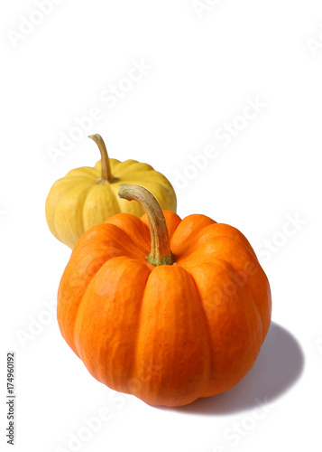 Two Vibrant Orange and Yellow Color Ripe Pumpkins with Stem Isolated on White Background, Selective Focus 
