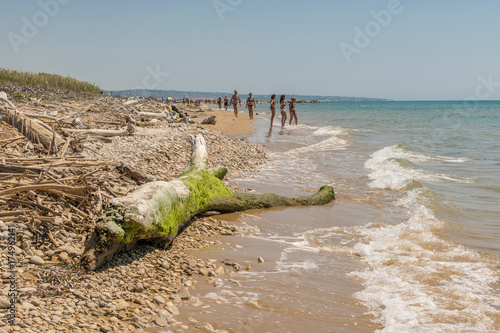 Fototapeta Naklejka Na Ścianę i Meble -  Treibgut am Strand