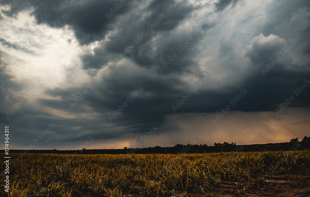 Fotografie, Obraz Pictures before the formation of a great dark and dramatic storm clouds