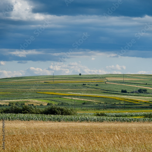 Cultivated countryside before storm
