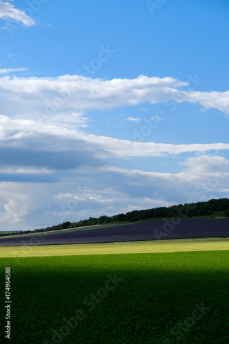 Light over cultivated field