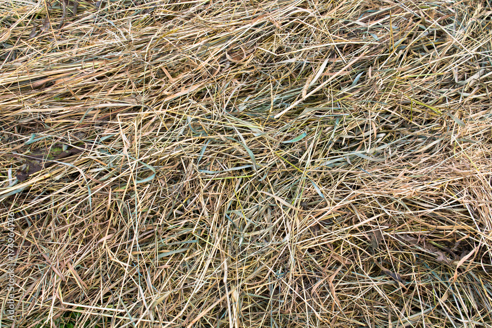 Dry straw grass and leaf background texture