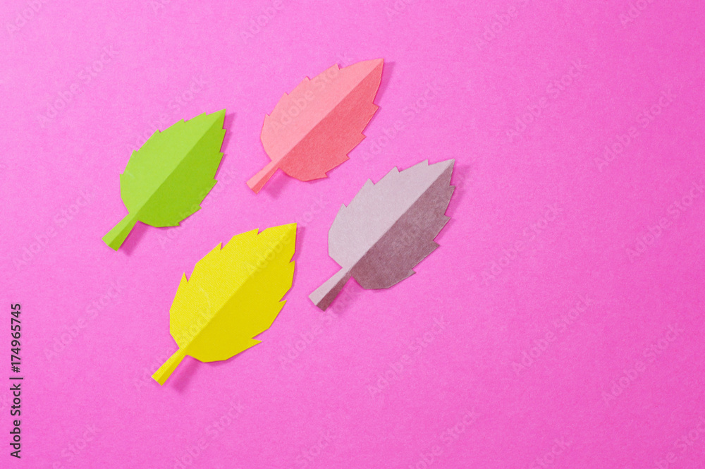 Fototapeta premium autumn leaves in pink background