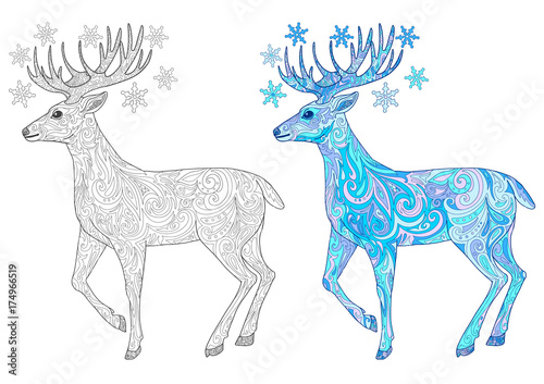 Reindeer for adult coloring book page. Hand drawn christmas deer doodle vector illustration.