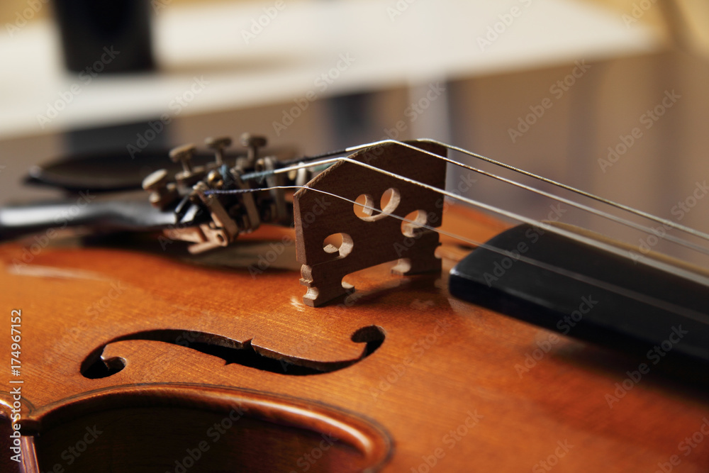 Fototapeta premium Violino
