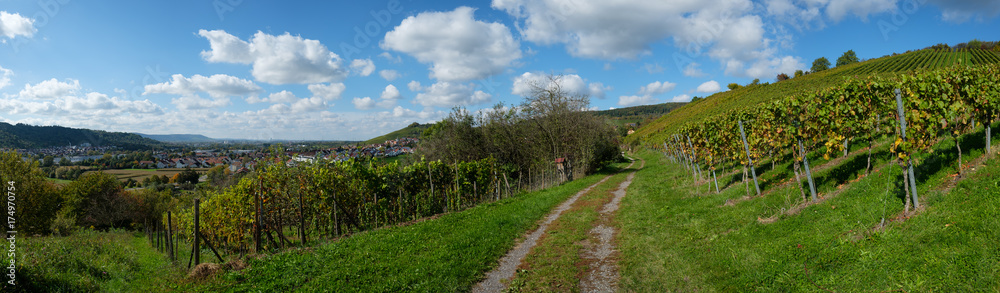 Panorama Landschaft Weinberg mit Feldweg