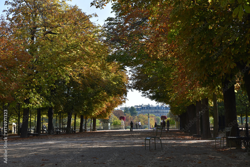 Alleé boisée du jardin du Luxembourg en automne à Paris, France
