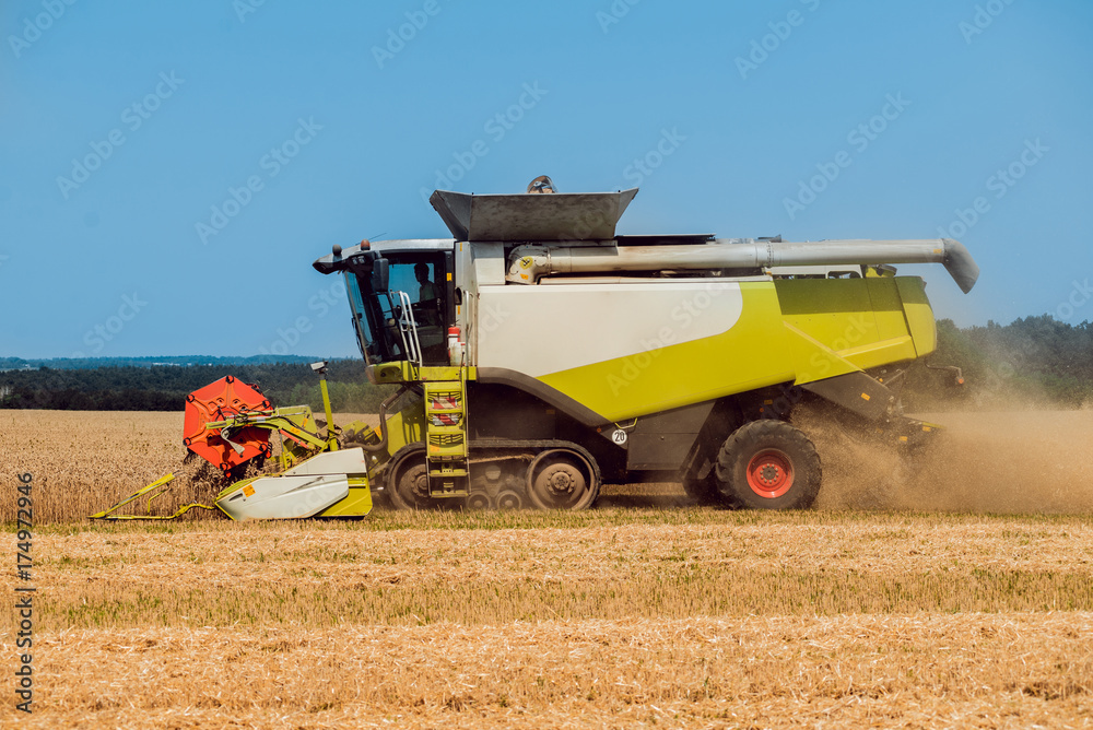 Combine harvester in action on wheat field. Process of gathering a ripe crop. Combine harvester in action on wheat field. Process of gathering a ripe crop.