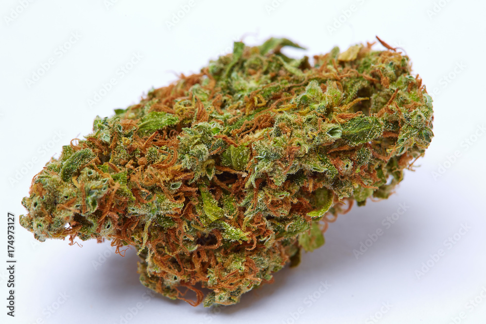 Close up of prescription medical marijuana flower strain Supreme Jack Close up of prescription medical marijuana flower strain Supreme Jack