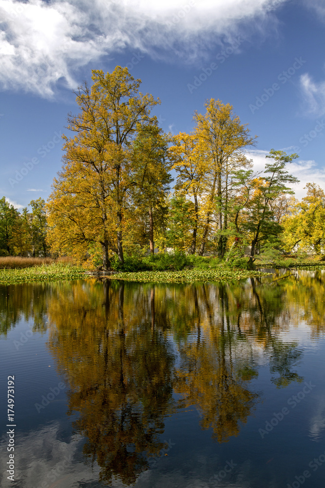 Colorful landscape . reflected Trees  in the smooth water surface in the  sunny and windless day . The fall season.
