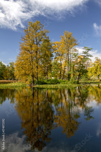 Colorful landscape . reflected Trees in the smooth water surface in the sunny and windless day . The fall season.