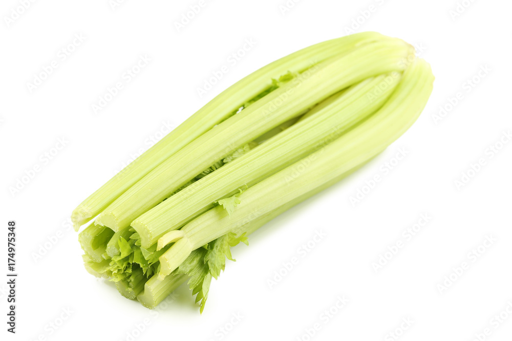 Celery isolated on a white background Celery isolated on a white background
