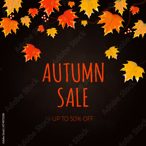 Autumn sale background layout decorate with leaves for shopping sale or promo poster and frame leaflet or web banner. Vector illustration