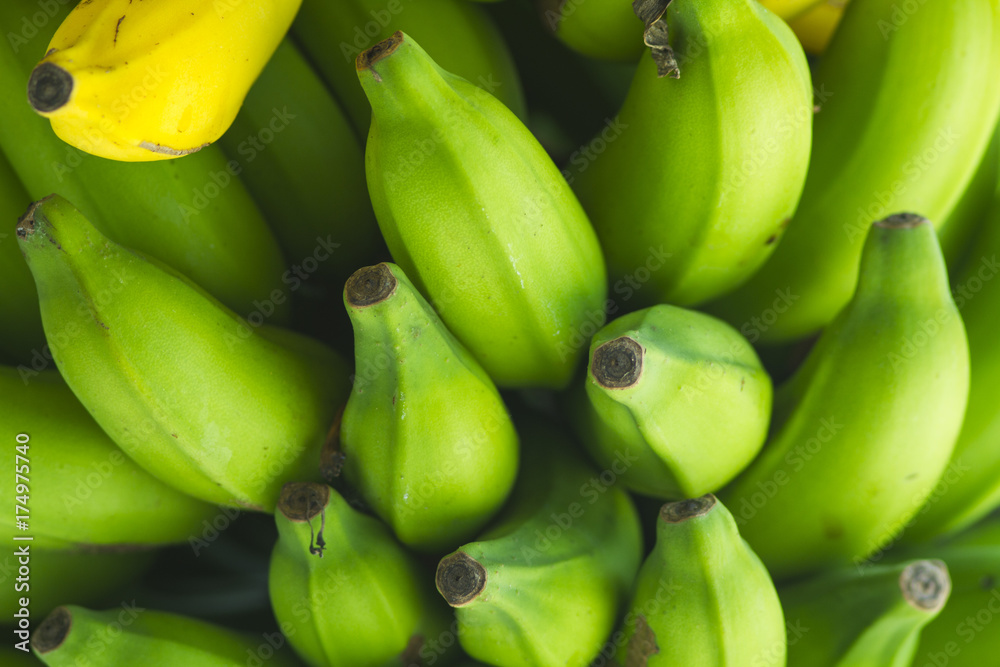 fresh green and yellow bananas ready to eat fresh green and yellow bananas ready to eat