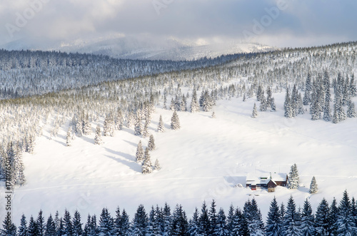 Evening winter snowy mountains landscape background. Winter holiday concept. © bellan
