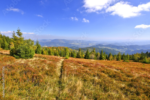  Natural autumn landscapes of Gorce mountains, Poland