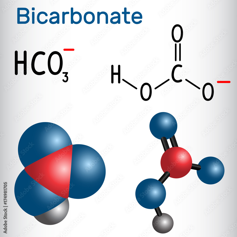 Bicarbonate anion ( HCO3 ) - structural chemical formula and molecule  model. Stock Vector