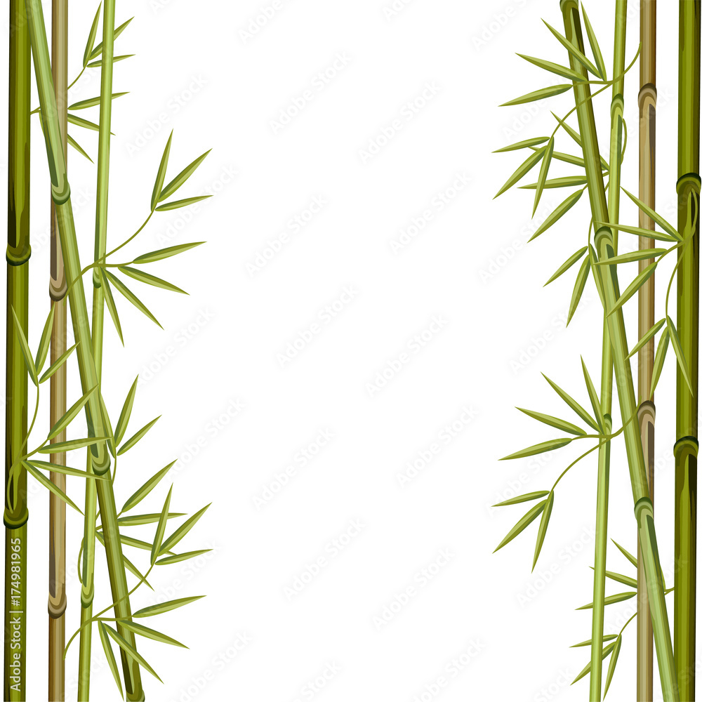 Fototapeta premium Frame made of bamboo branches. Vector illustration.
