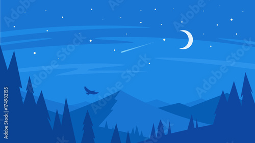night forest and mountain