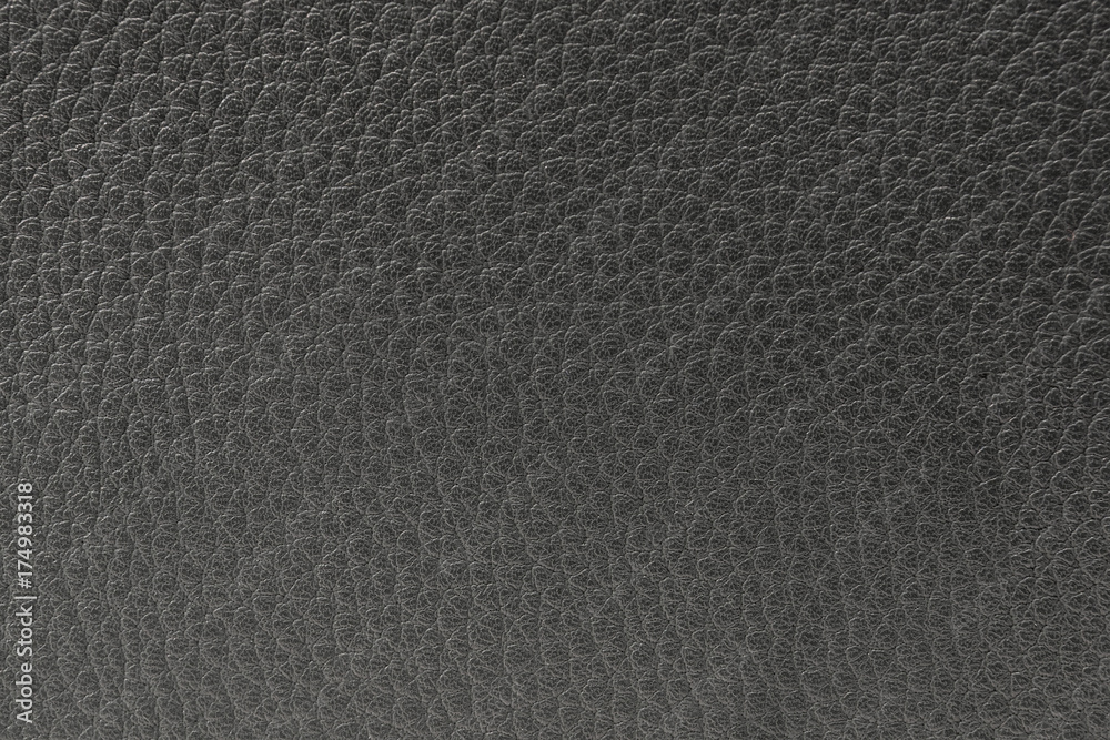 the texture of the skin is gray the texture of the skin is gray