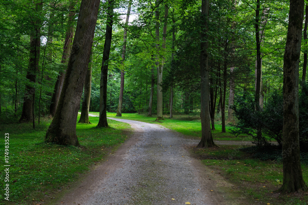 Old park Schoenbusch ( Schönbuch ) , Aschaffenburg, Germany